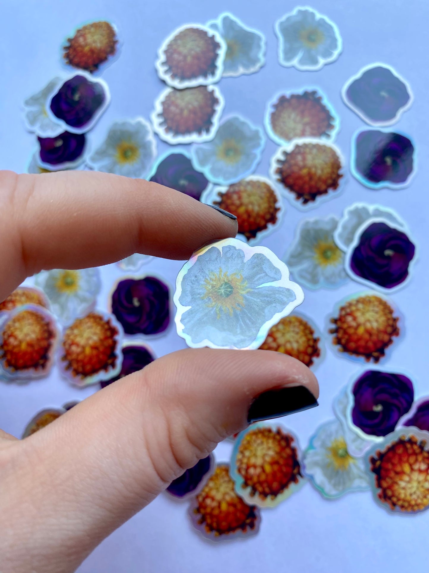 white poppy sticker