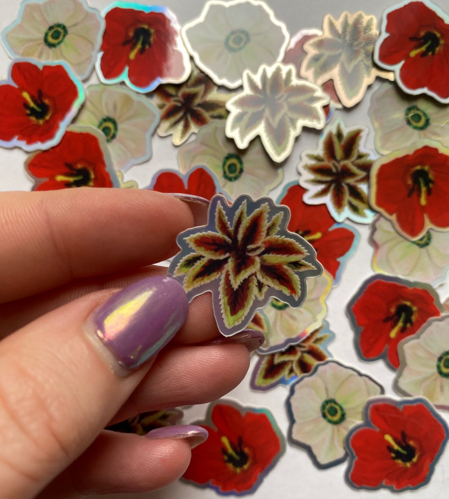 Wild Thing Stickers (3 Pack)