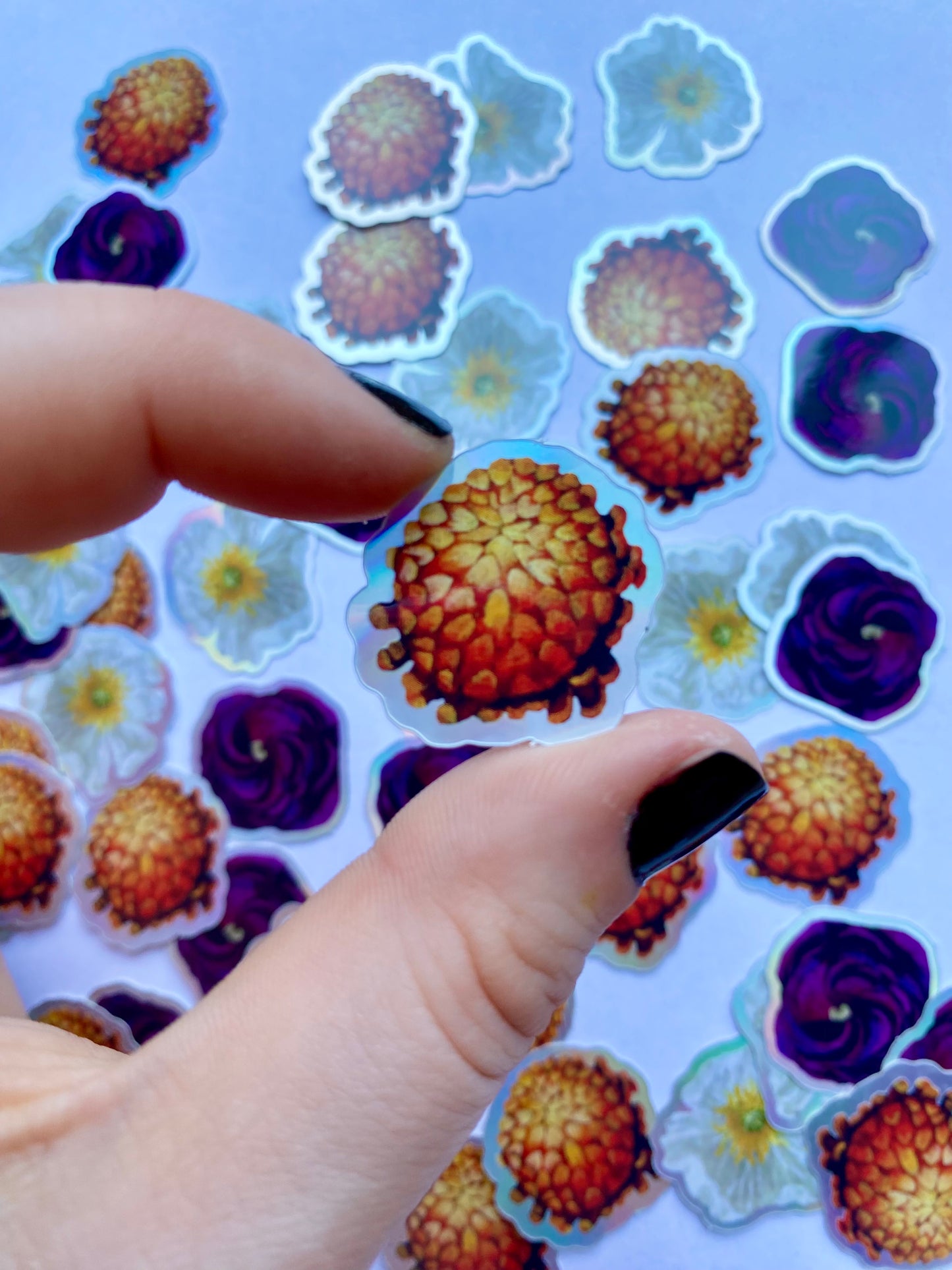 orange chyrsanthemum sticker