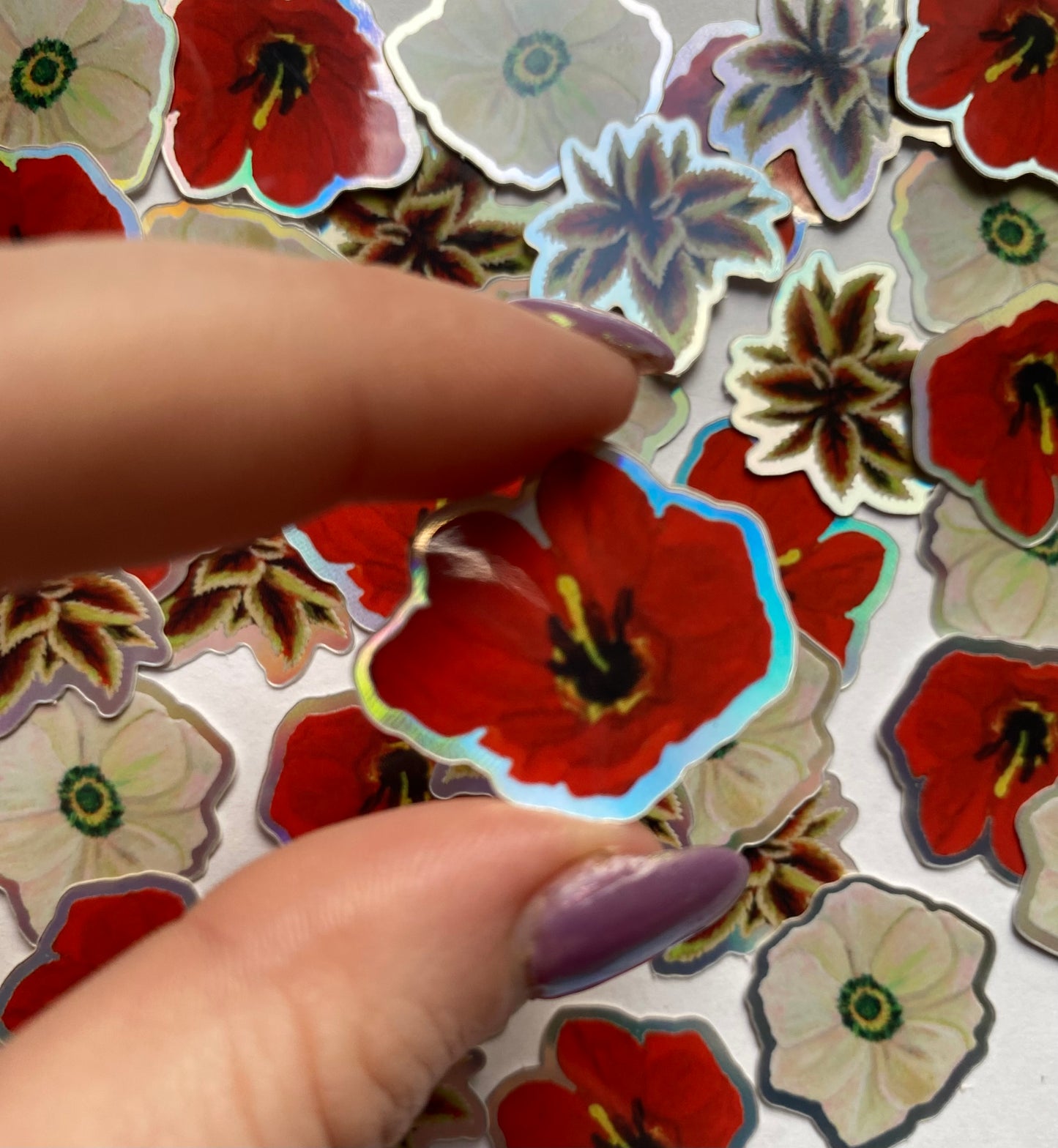 Wild Thing Stickers (3 Pack)