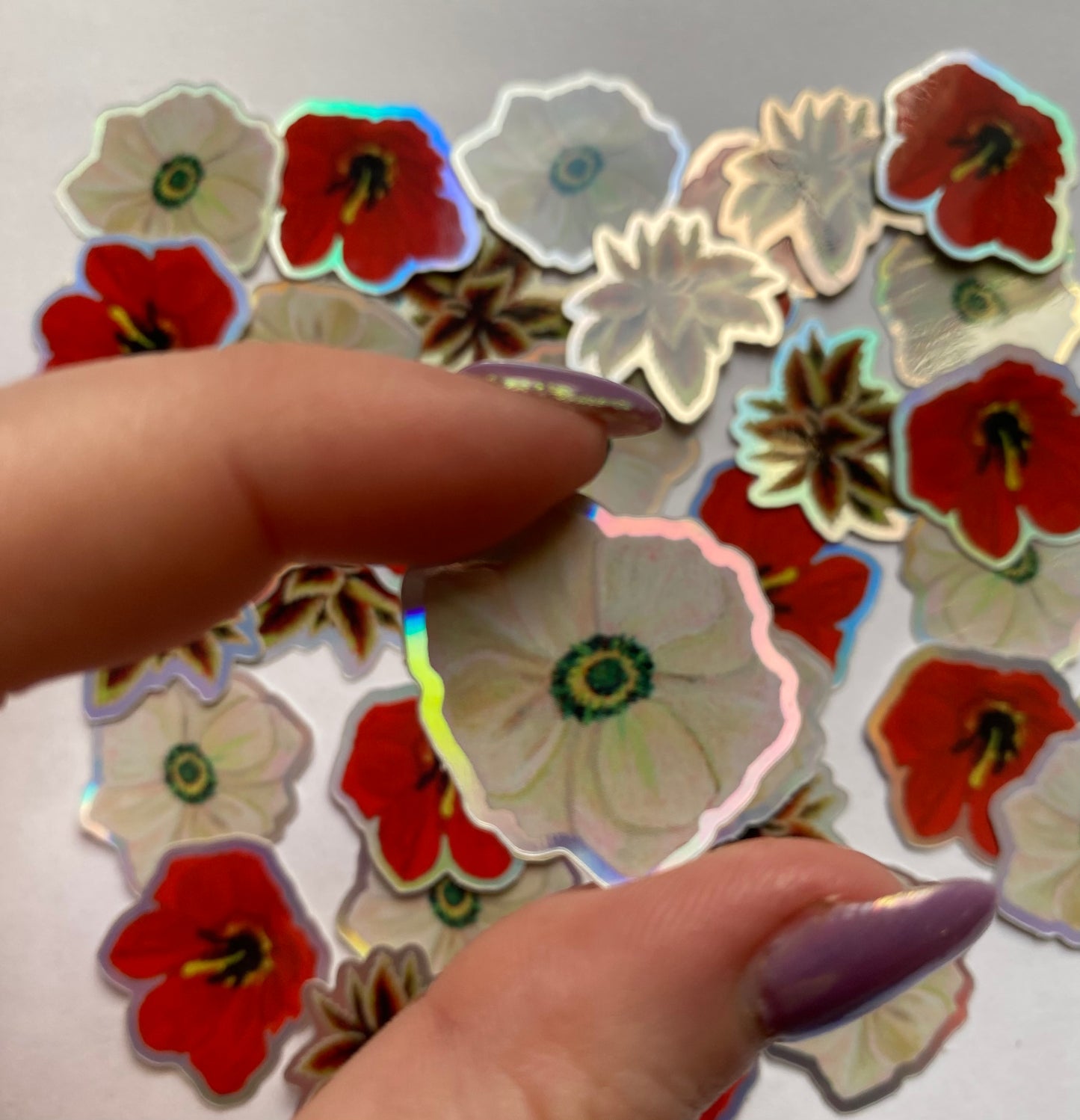 Wild Thing Stickers (3 Pack)