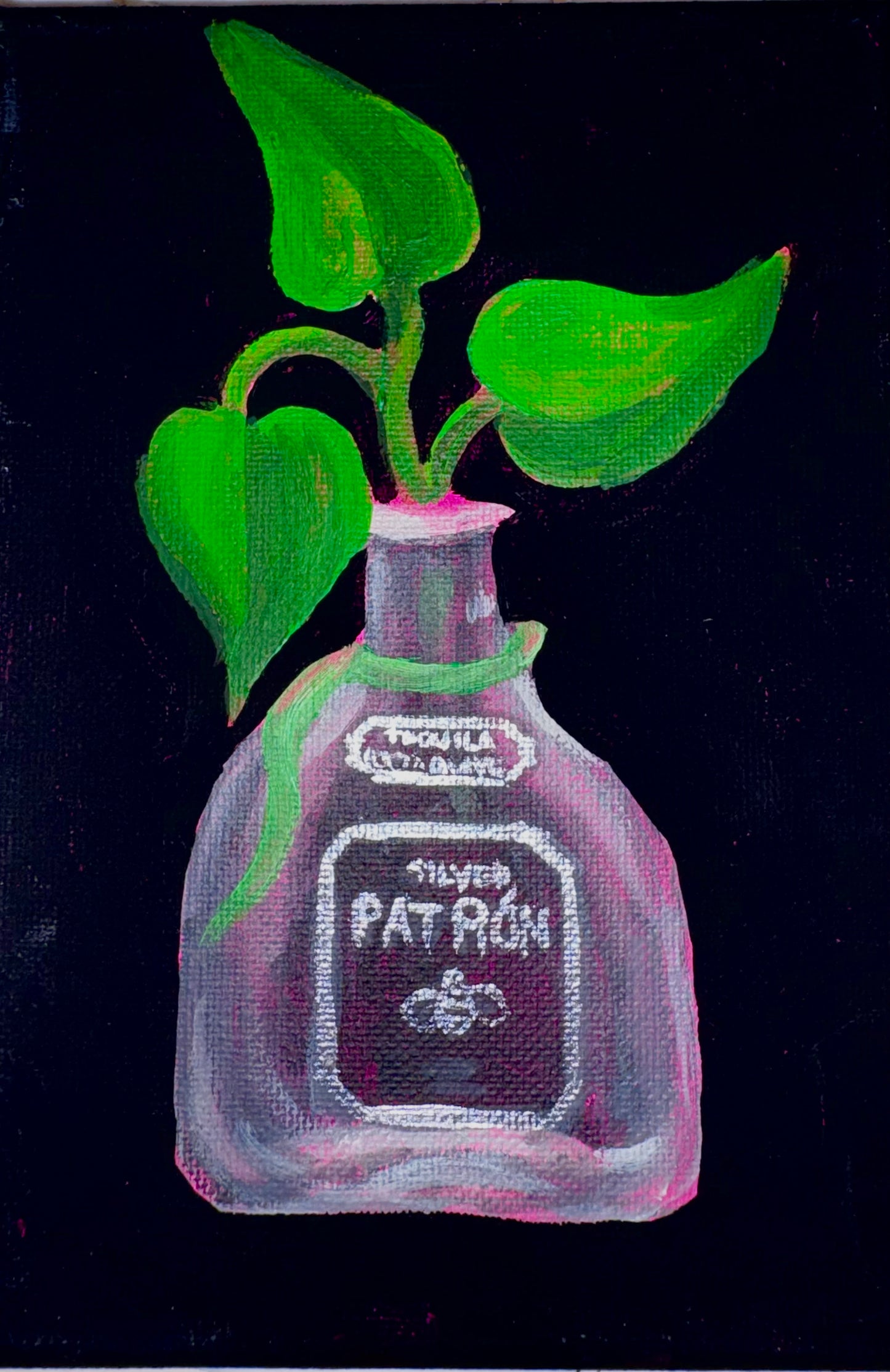 Patrón+Pothos