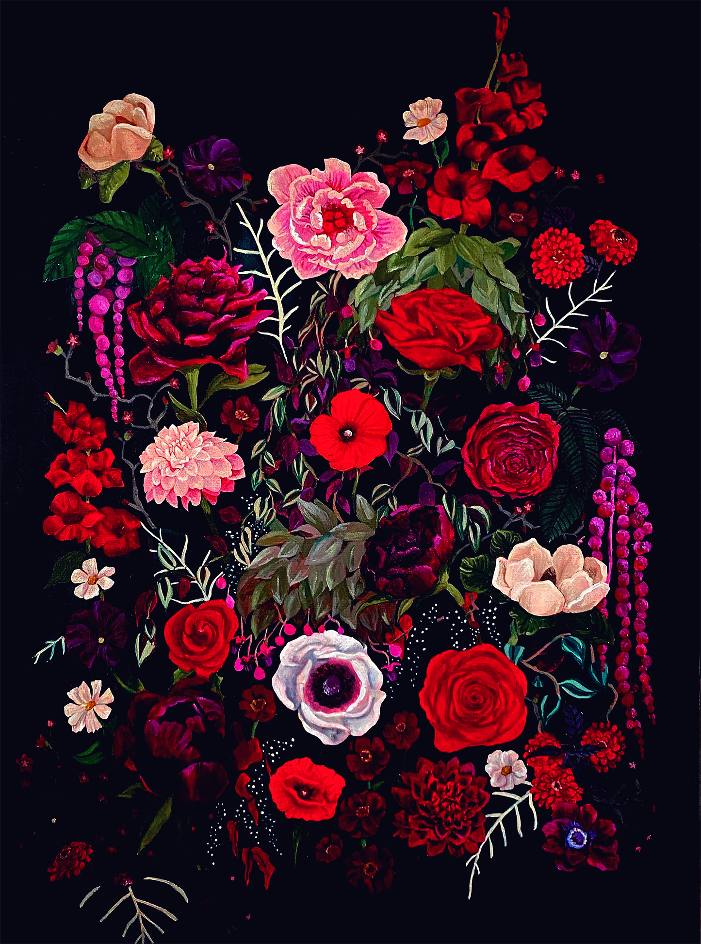 red, pink, purple, and white flowers on a black background