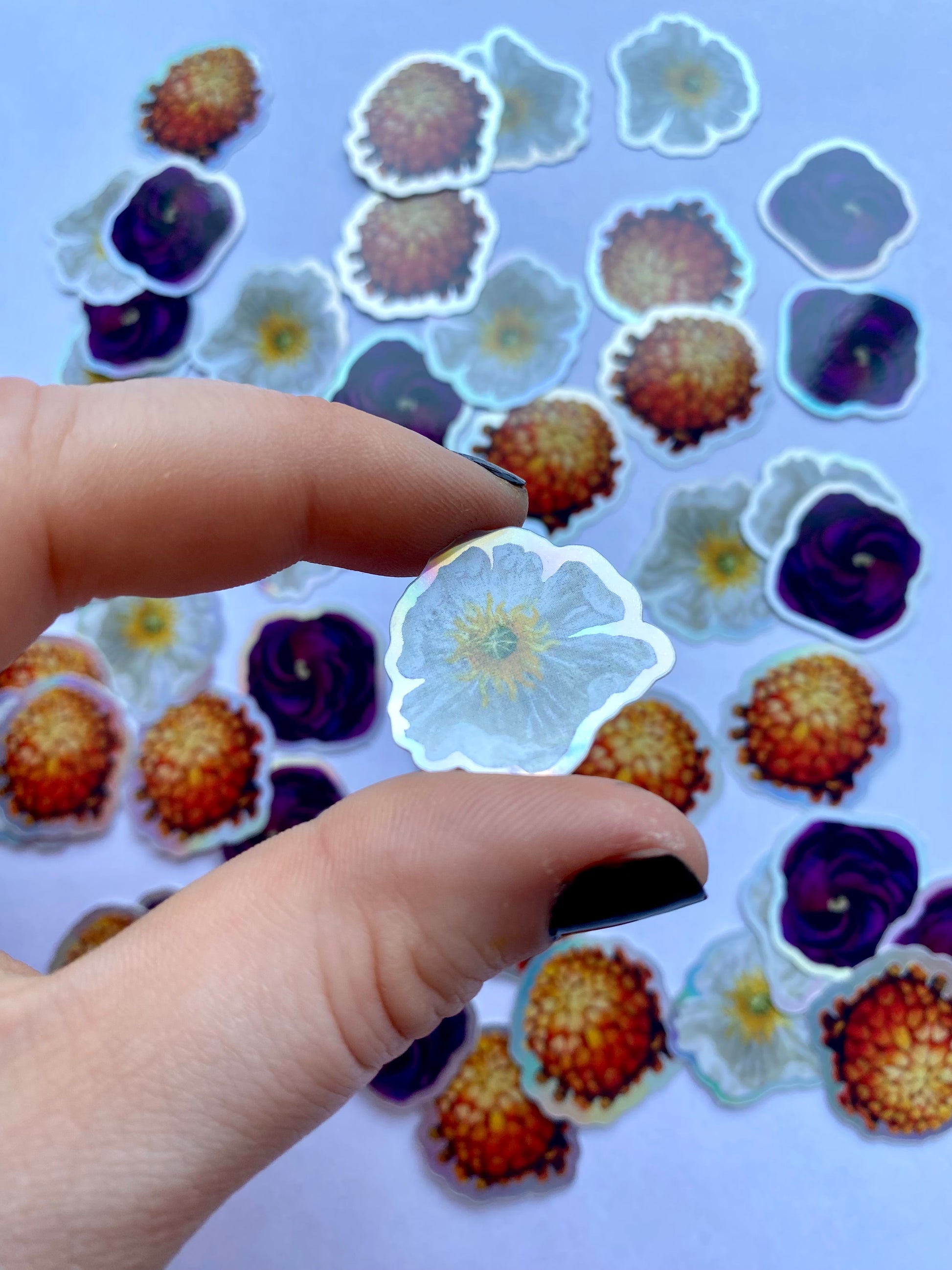 white poppy sticker