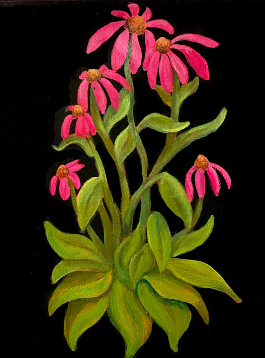 Coneflowers