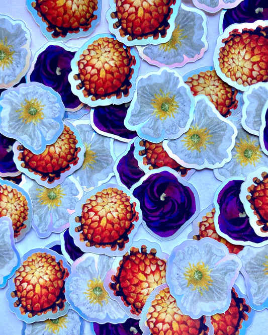 white poppy, orange chrysanthemum, and purple ranunculus stickers