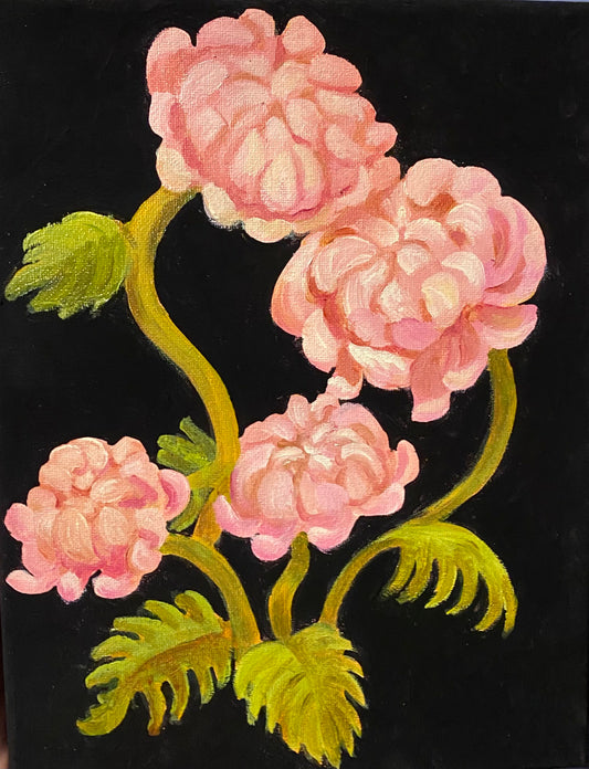 Pink Chrysanthemums