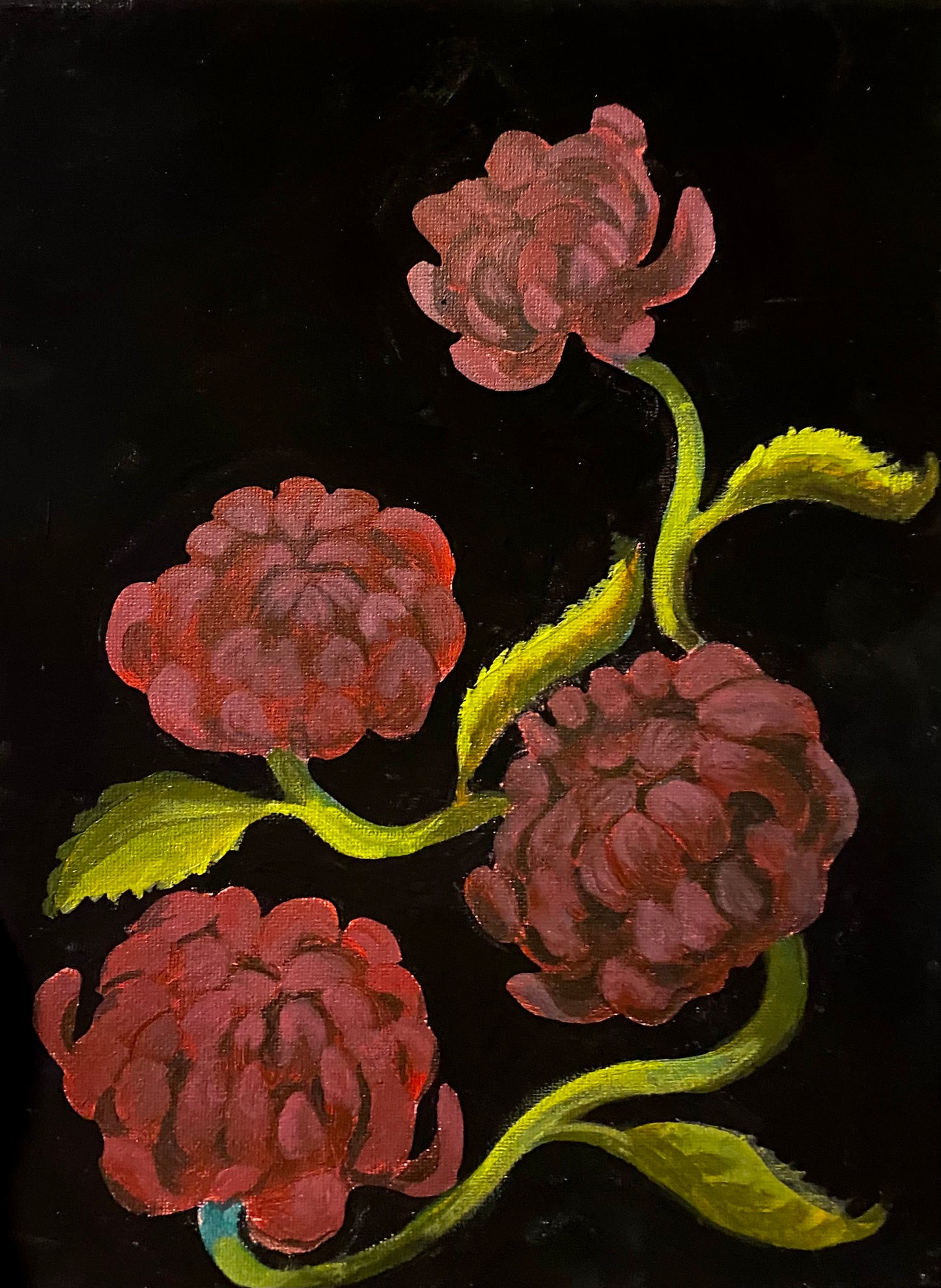 Burgundy Chrysanthemums