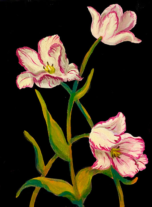 Tulips